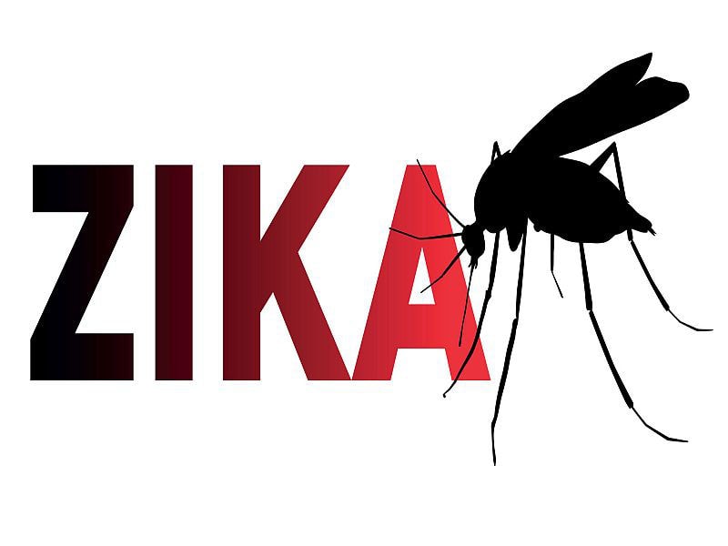 Zika: il virus trasmesso dalla zanzara tigre